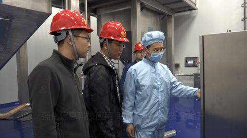 濱海區強化信息科技應用，助力企業安全管理與技術開發